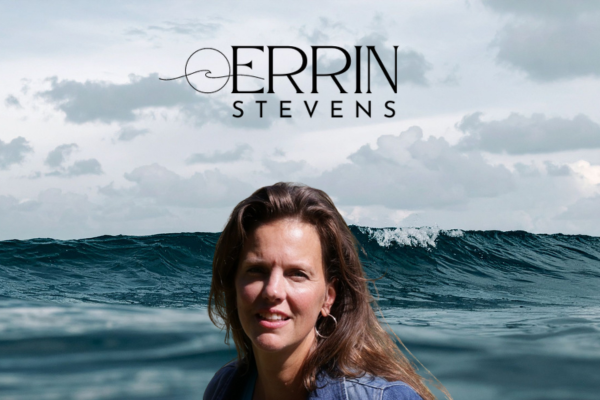 (3) Novels by Errin Stevens