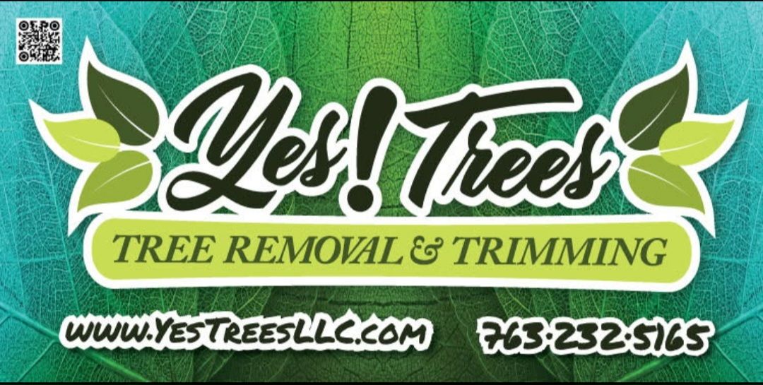 Yes! Trees