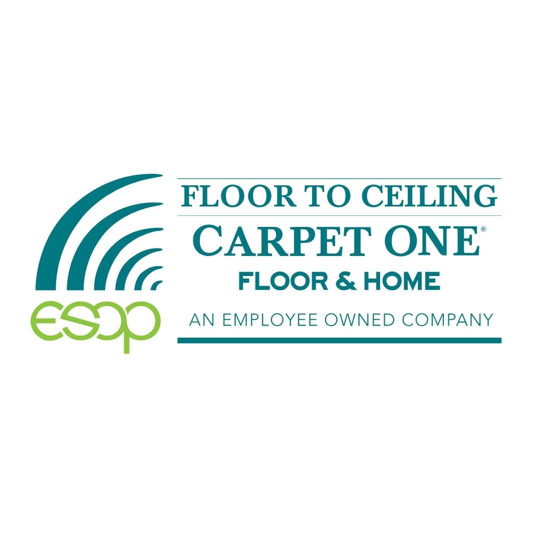 Floor to Ceiling Carpet One