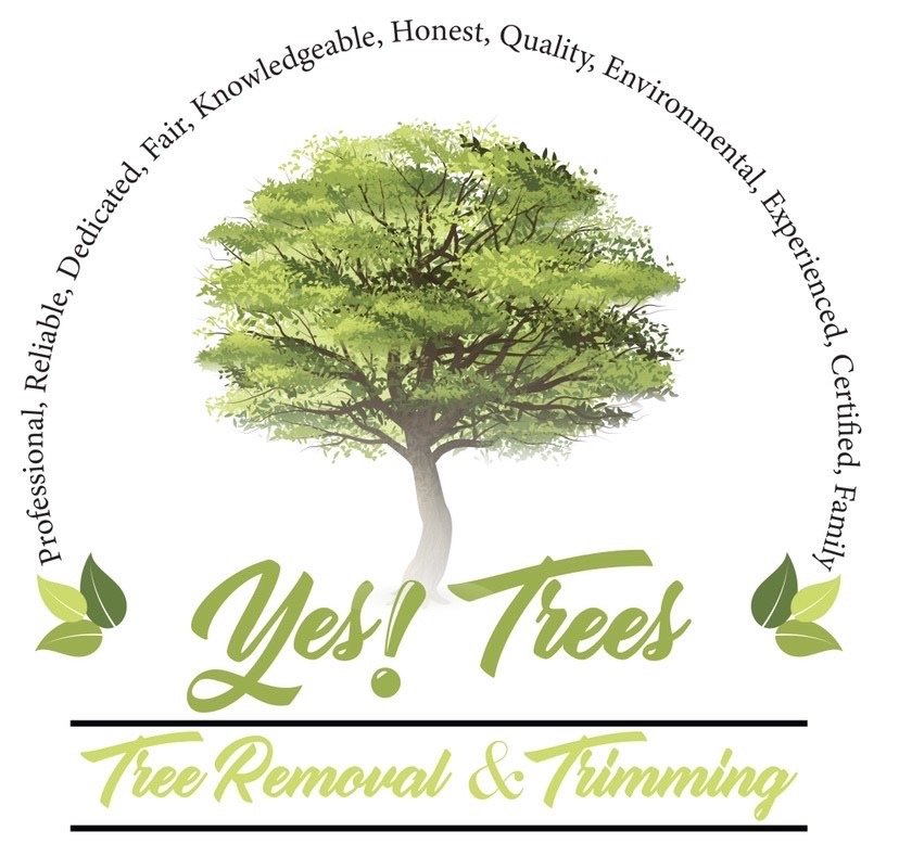 Yes! Trees